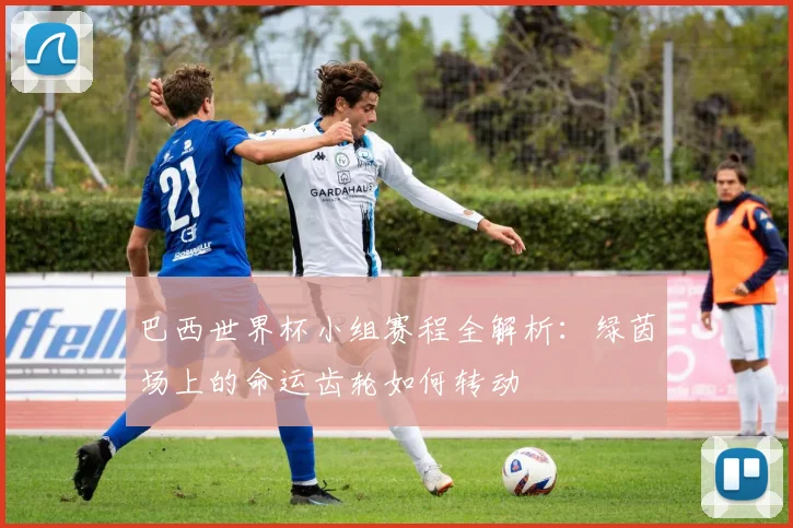 巴西世界杯小组赛程全解析：绿茵场上的命运齿轮如何转动