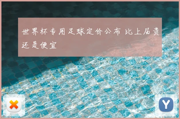 世界杯专用足球定价公布 比上届贵还是便宜