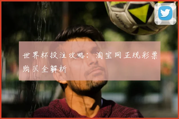 世界杯投注攻略：淘宝网正规彩票购买全解析