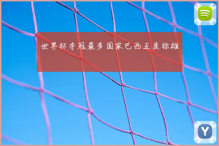 世界杯夺冠最多国家巴西五度称雄