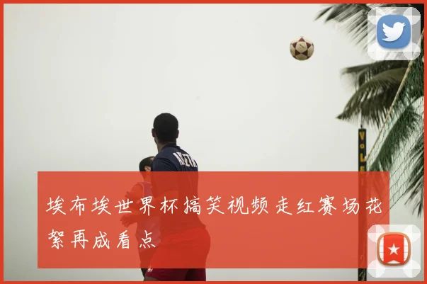埃布埃世界杯搞笑视频走红赛场花絮再成看点