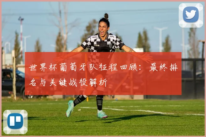 世界杯葡萄牙队征程回顾:最终排名与关键战役解析