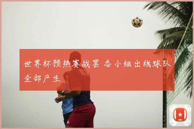 世界杯预热赛战罢 各小组出线球队全部产生
