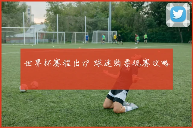 世界杯赛程出炉 球迷购票观赛攻略