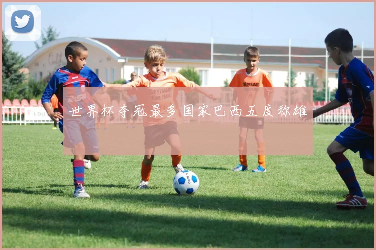 世界杯夺冠最多国家巴西五度称雄