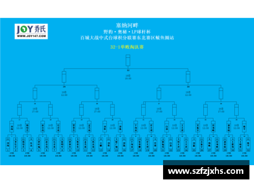 博业体育官方网站登录入口瑞士逆转土耳其，晋级欧洲杯淘汰赛：信念与团队精神的胜利 - 副本